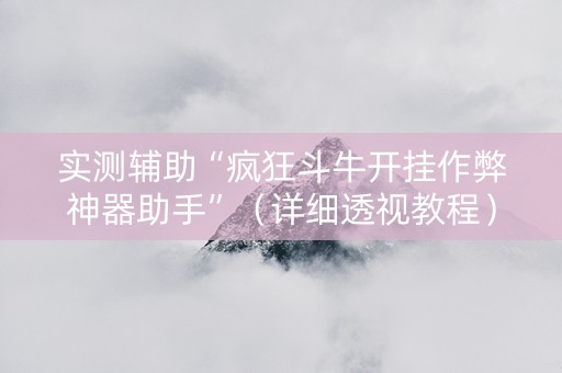 实测辅助“疯狂斗牛开挂作弊神器助手”（详细透视教程）-哔哩哔哩