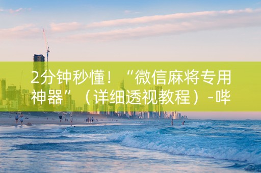 2分钟秒懂！“微信麻将专用神器”（详细透视教程）-哔哩哔哩