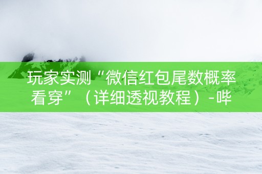 玩家实测“微信红包尾数概率看穿”（详细透视教程）-哔哩哔哩