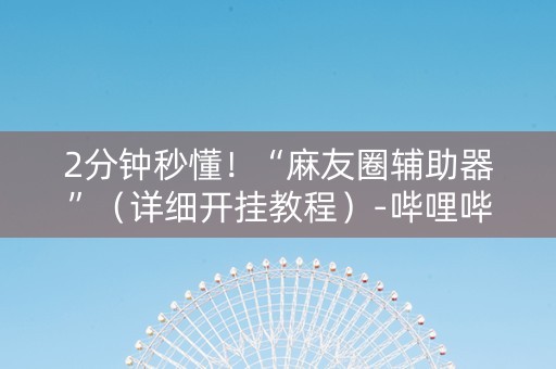 2分钟秒懂！“麻友圈辅助器”（详细开挂教程）-哔哩哔哩