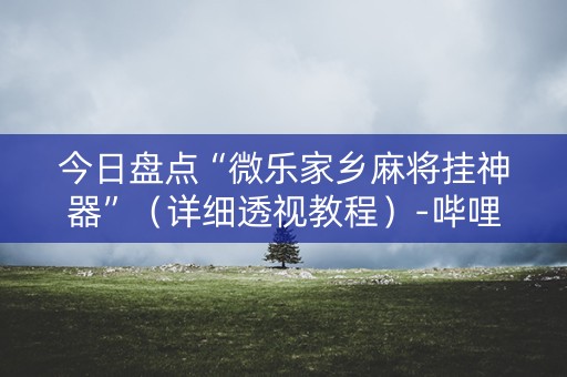 今日盘点“微乐家乡麻将挂神器”（详细透视教程）-哔哩哔哩