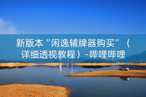 新版本“闲逸辅牌器购买”（详细透视教程）-哔哩哔哩