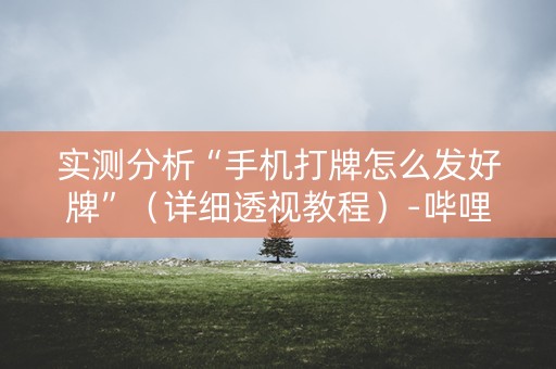 实测分析“手机打牌怎么发好牌”（详细透视教程）-哔哩哔哩