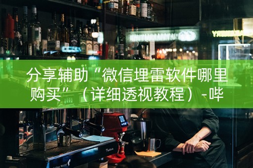 分享辅助“微信埋雷软件哪里购买”（详细透视教程）-哔哩哔哩