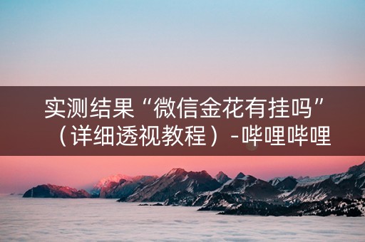 实测结果“微信金花有挂吗”（详细透视教程）-哔哩哔哩