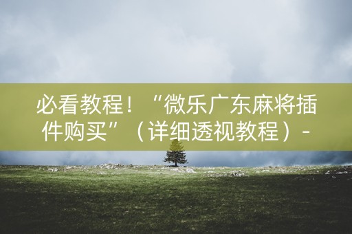 必看教程！“微乐广东麻将插件购买”（详细透视教程）-哔哩哔哩