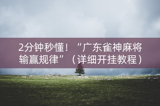 2分钟秒懂！“广东雀神麻将输赢规律”（详细开挂教程）-哔哩哔哩