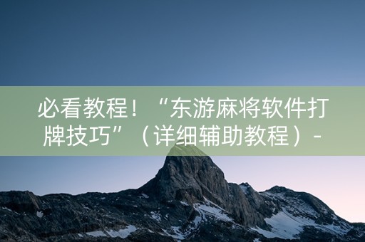 必看教程！“东游麻将软件打牌技巧”（详细辅助教程）-哔哩哔哩