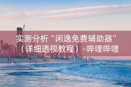 实测分析“闲逸免费辅助器”（详细透视教程）-哔哩哔哩