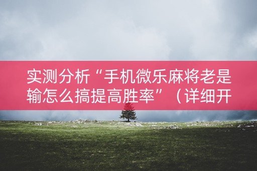 实测分析“手机微乐麻将老是输怎么搞提高胜率”（详细开挂教程）-哔哩哔哩