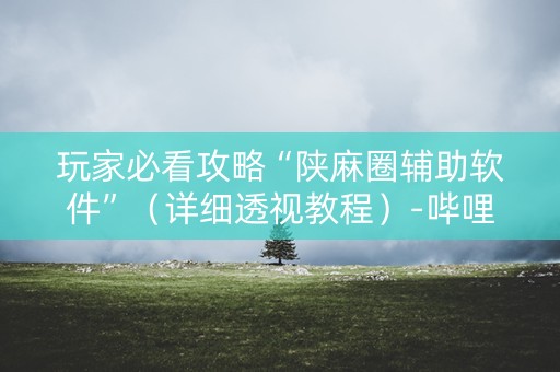 玩家必看攻略“陕麻圈辅助软件”（详细透视教程）-哔哩哔哩