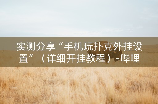 实测分享“手机玩扑克外挂设置”（详细开挂教程）-哔哩哔哩