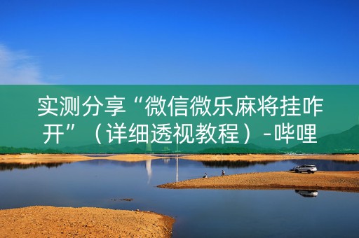 实测分享“微信微乐麻将挂咋开”（详细透视教程）-哔哩哔哩