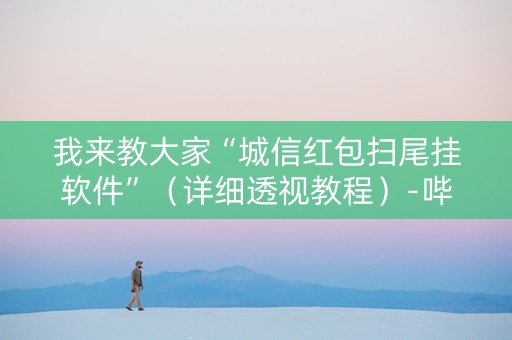 我来教大家“城信红包扫尾挂软件”（详细透视教程）-哔哩哔哩