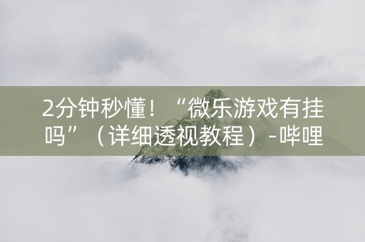2分钟秒懂！“微乐游戏有挂吗”（详细透视教程）-哔哩哔哩