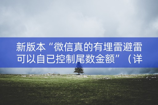 新版本“微信真的有埋雷避雷可以自已控制尾数金额”（详细透视教程）-哔哩哔哩