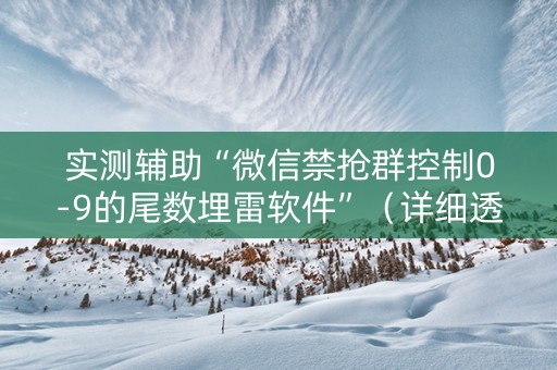 实测辅助“微信禁抢群控制0-9的尾数埋雷软件”（详细透视教程）-哔哩哔哩