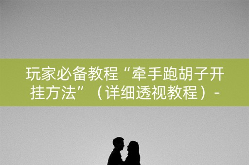 玩家必备教程“牵手跑胡子开挂方法”（详细透视教程）-哔哩哔哩