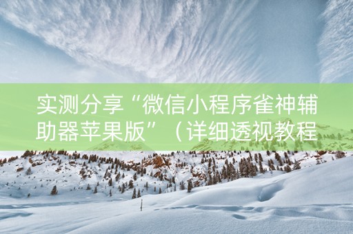 实测分享“微信小程序雀神辅助器苹果版”（详细透视教程）-哔哩哔哩