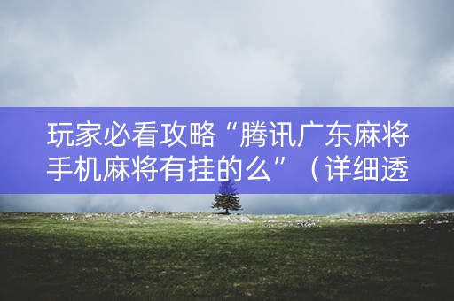 玩家必看攻略“腾讯广东麻将手机麻将有挂的么”（详细透视教程）-哔哩哔哩