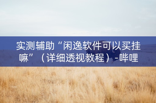 实测辅助“闲逸软件可以买挂嘛”（详细透视教程）-哔哩哔哩