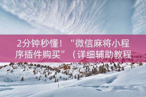 2分钟秒懂！“微信麻将小程序插件购买”（详细辅助教程）-哔哩哔哩