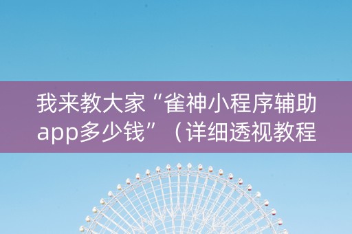 我来教大家“雀神小程序辅助app多少钱”（详细透视教程）-哔哩哔哩