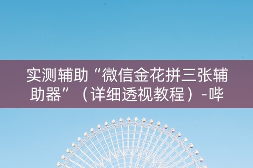 实测辅助“微信金花拼三张辅助器”（详细透视教程）-哔哩哔哩