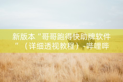 新版本“哥哥跑得快助牌软件”（详细透视教程）-哔哩哔哩