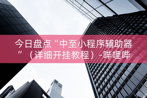 今日盘点“中至小程序辅助器”（详细开挂教程）-哔哩哔哩