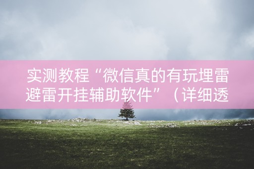 实测教程“微信真的有玩埋雷避雷开挂辅助软件”（详细透视教程）-哔哩哔哩