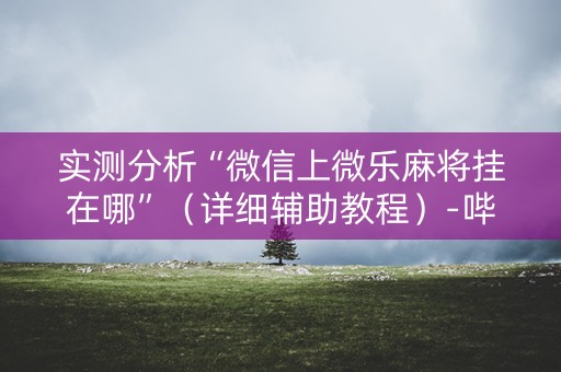 实测分析“微信上微乐麻将挂在哪”（详细辅助教程）-哔哩哔哩