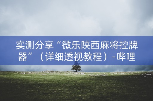 实测分享“微乐陕西麻将控牌器”（详细透视教程）-哔哩哔哩
