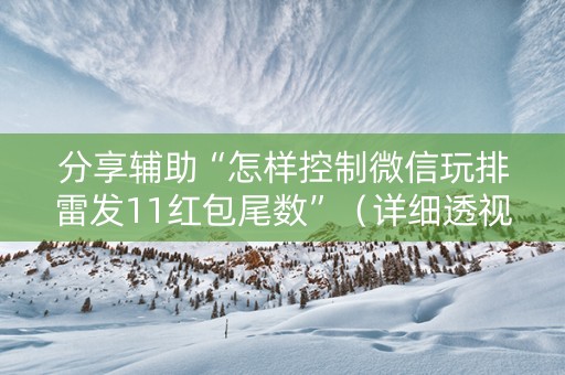 分享辅助“怎样控制微信玩排雷发11红包尾数”（详细透视教程）-哔哩哔哩