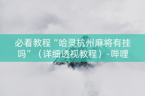 必看教程“哈灵杭州麻将有挂吗”（详细透视教程）-哔哩哔哩