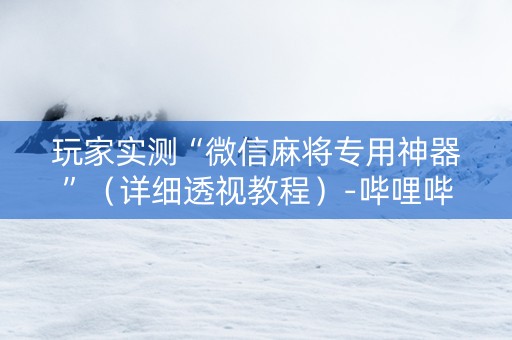玩家实测“微信麻将专用神器”（详细透视教程）-哔哩哔哩