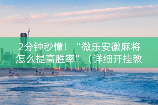 2分钟秒懂！“微乐安徽麻将怎么提高胜率”（详细开挂教程）-哔哩哔哩