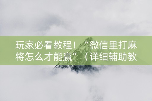 玩家必看教程！“微信里打麻将怎么才能赢”（详细辅助教程）-哔哩哔哩