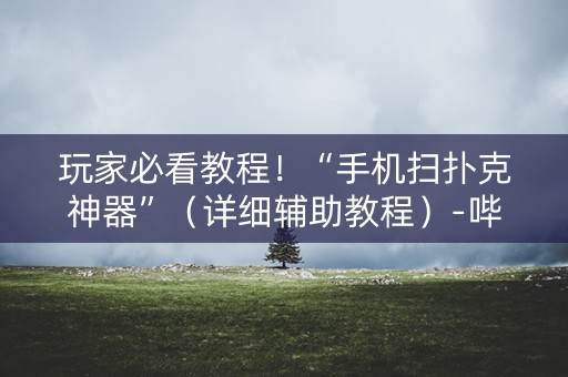 玩家必看教程！“手机扫扑克神器”（详细辅助教程）-哔哩哔哩