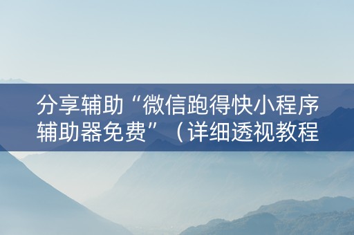 分享辅助“微信跑得快小程序辅助器免费”（详细透视教程）-哔哩哔哩