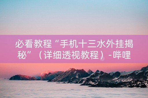 必看教程“手机十三水外挂揭秘”（详细透视教程）-哔哩哔哩
