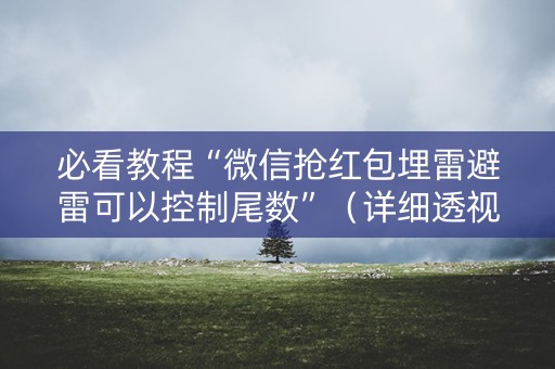 必看教程“微信抢红包埋雷避雷可以控制尾数”（详细透视教程）-哔哩哔哩