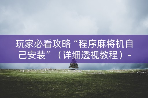 玩家必看攻略“程序麻将机自己安装”（详细透视教程）-哔哩哔哩