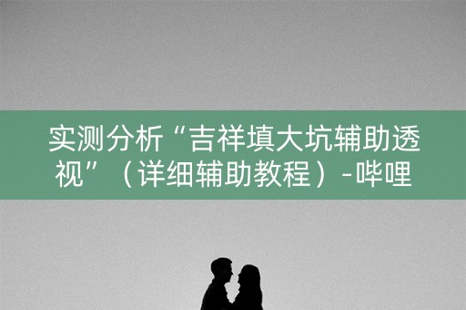 实测分析“吉祥填大坑辅助透视”（详细辅助教程）-哔哩哔哩