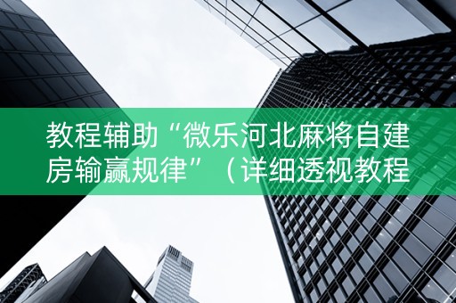 教程辅助“微乐河北麻将自建房输赢规律”（详细透视教程）-哔哩哔哩