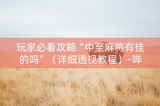 玩家必看攻略“中至麻将有挂的吗”（详细透视教程）-哔哩哔哩