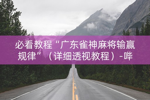 必看教程“广东雀神麻将输赢规律”（详细透视教程）-哔哩哔哩