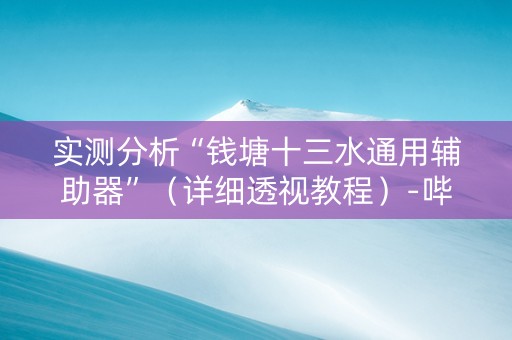 实测分析“钱塘十三水通用辅助器”（详细透视教程）-哔哩哔哩