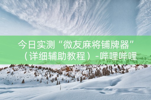今日实测“微友麻将铺牌器”（详细辅助教程）-哔哩哔哩