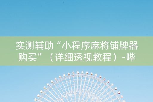 实测辅助“小程序麻将铺牌器购买”（详细透视教程）-哔哩哔哩